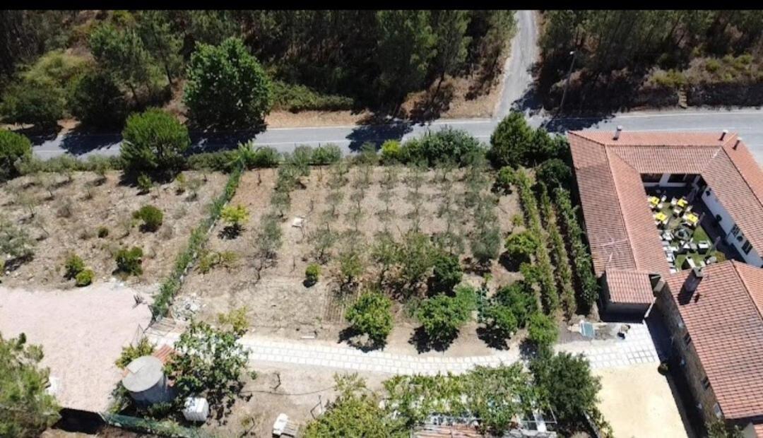 Quinta Penedo Das Antas - Al Acomodação com café da manhã Sertã Exterior foto